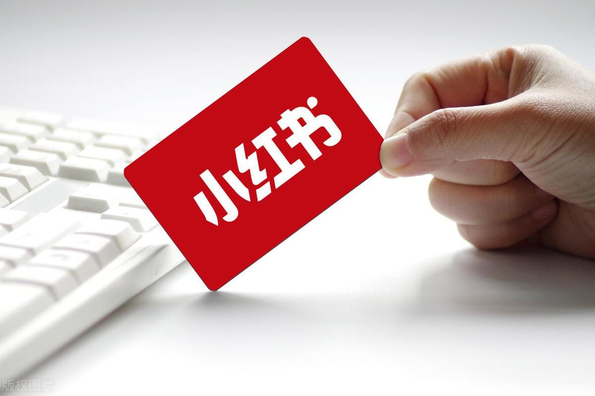 小红书怎么看品牌投放数据,小红书投放方法技巧