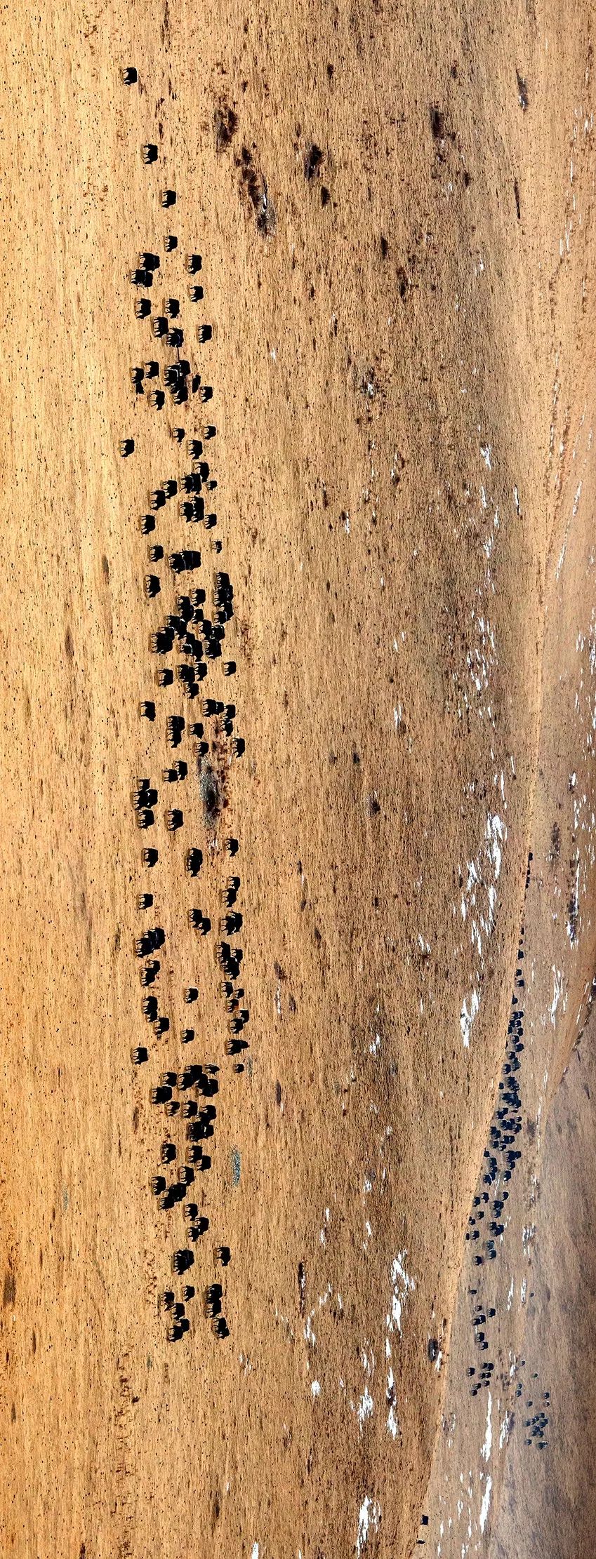 川西阿坝旅游详细攻略地图,川西阿坝旅游攻略三天