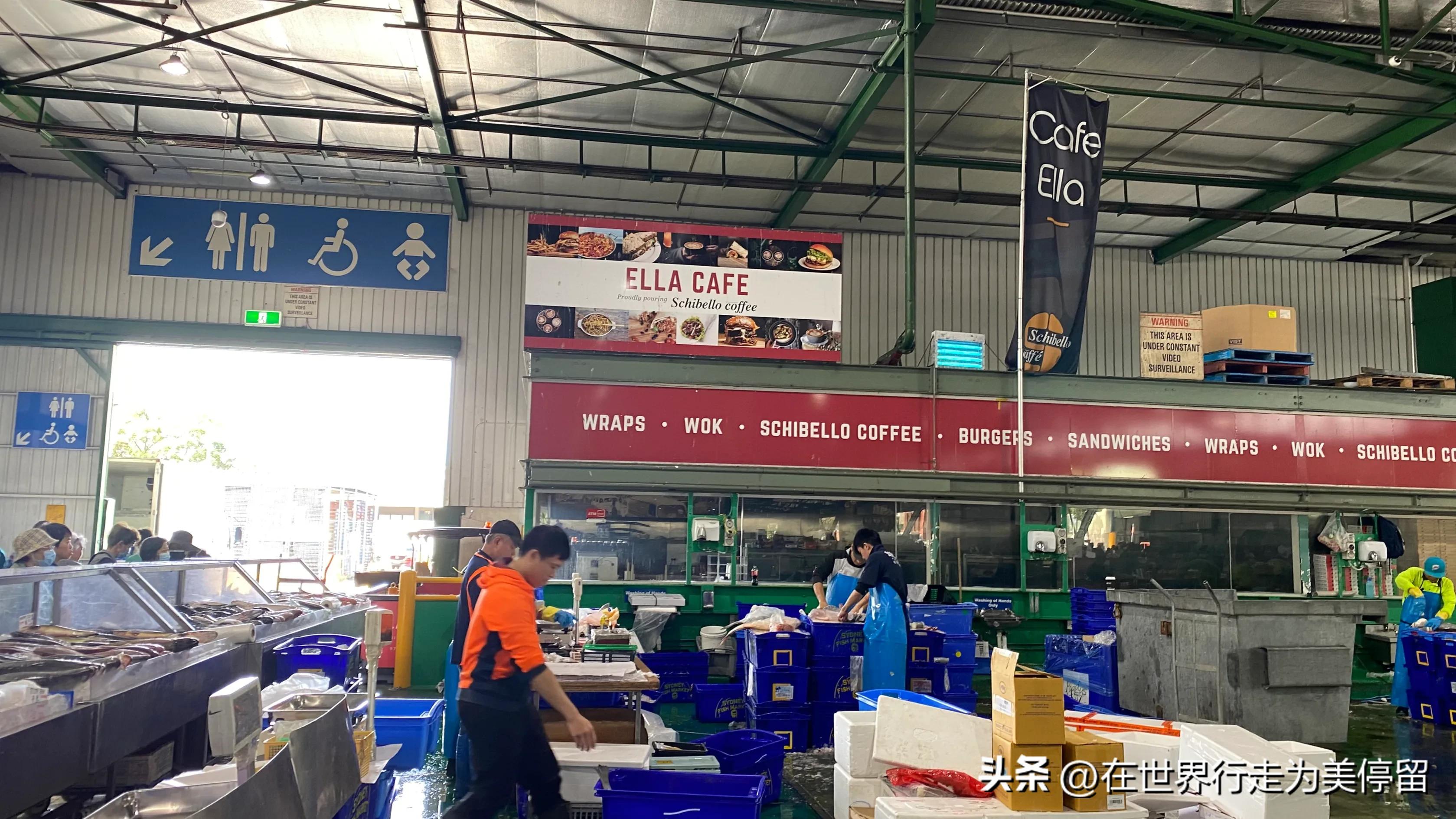 悉尼最大的蔬菜批发市场,悉尼蔬菜市场