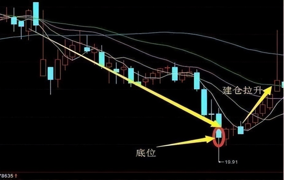 广东一位包租婆炒股,仅用一招“跟庄”法,短短三年账户超八位数