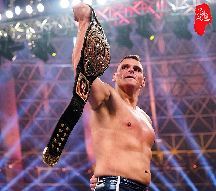 wwe赛斯两次击败猛兽,wwe赛斯受伤后谁获得了冠军