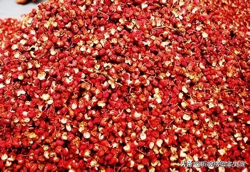 韩城特产除了花椒还有什么 (韩城油酥角哪卖的有)