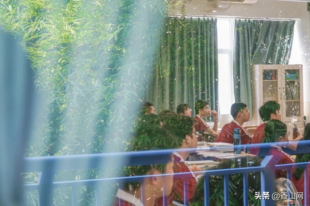 北师大珠海附中,三年青春在校园里