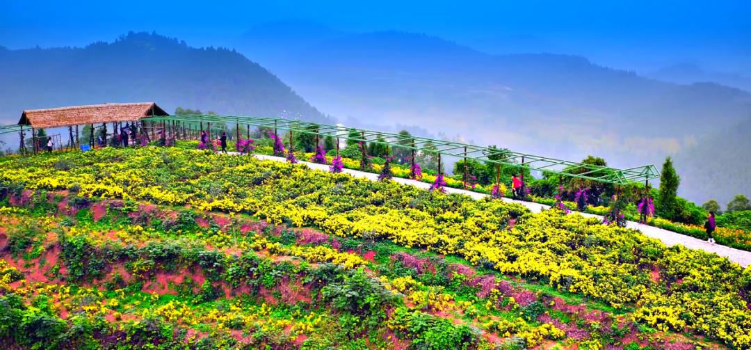 金堂周边游玩路线推荐,金堂游玩攻略旅游路线