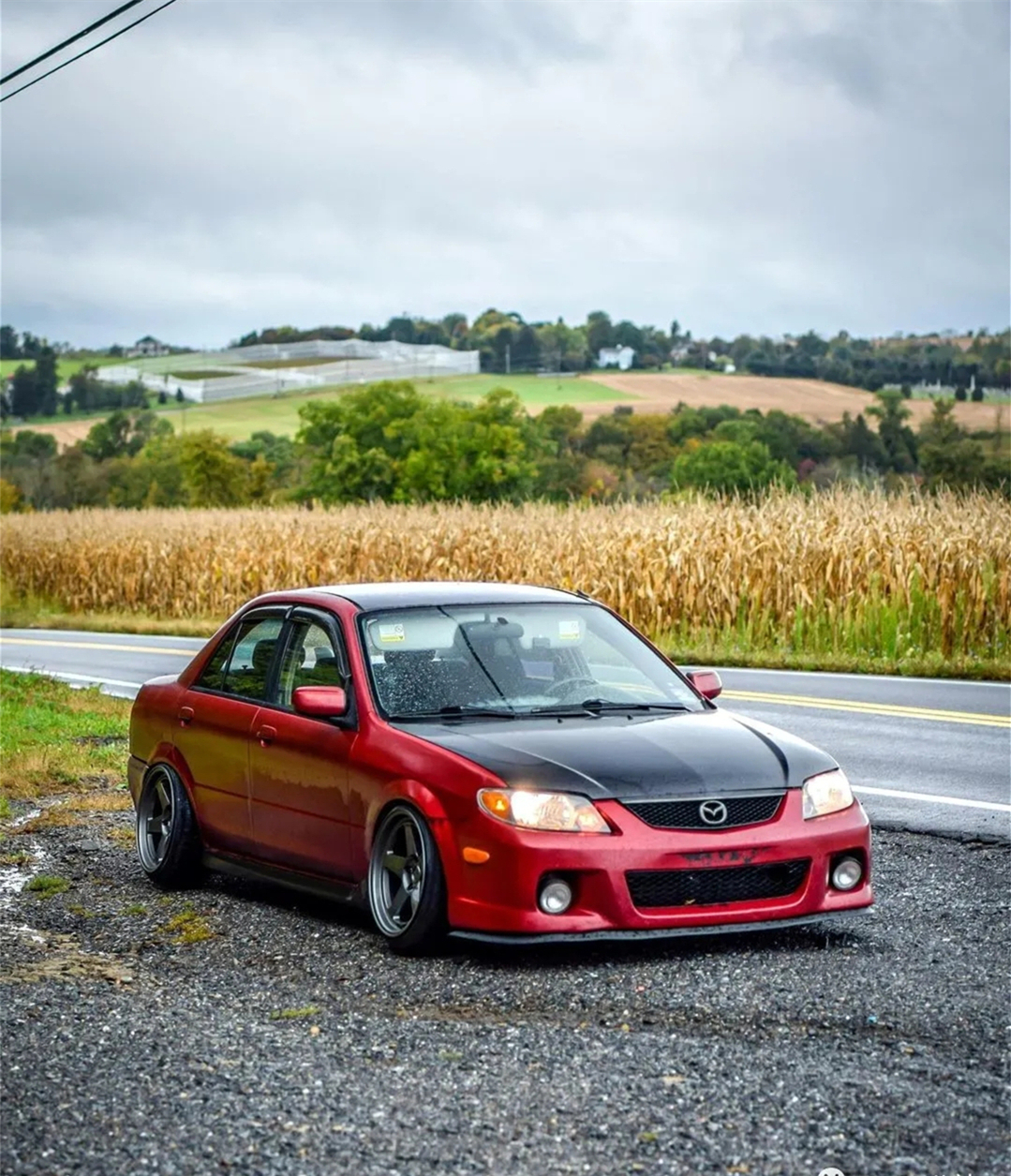 马自达323和福美来哪个值得买,马自达323福美来海福星可以改标吗