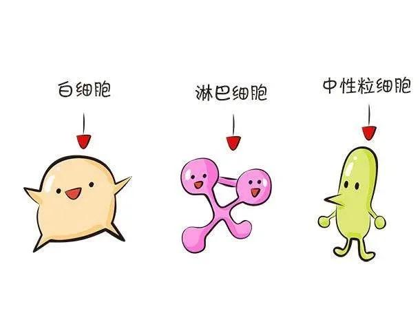 你也可以读懂宫颈细胞学检查报告单!