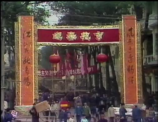 广东有百分之几人看春晚,广东人看春晚的多不多