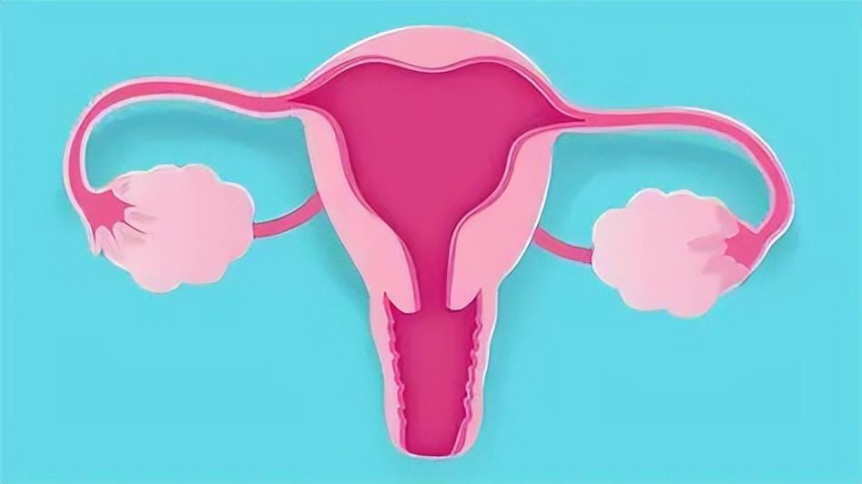 肌醇的作用及功能主治是什么,肌醇的作用和功效