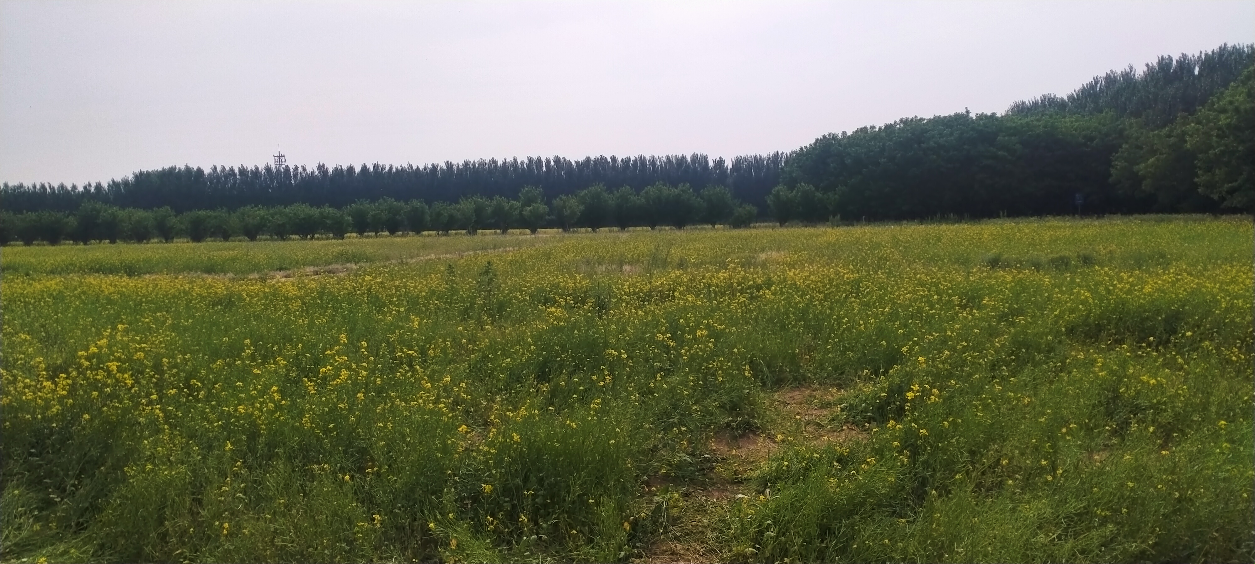 浑河西峡谷都有啥,浑河西峡谷图片