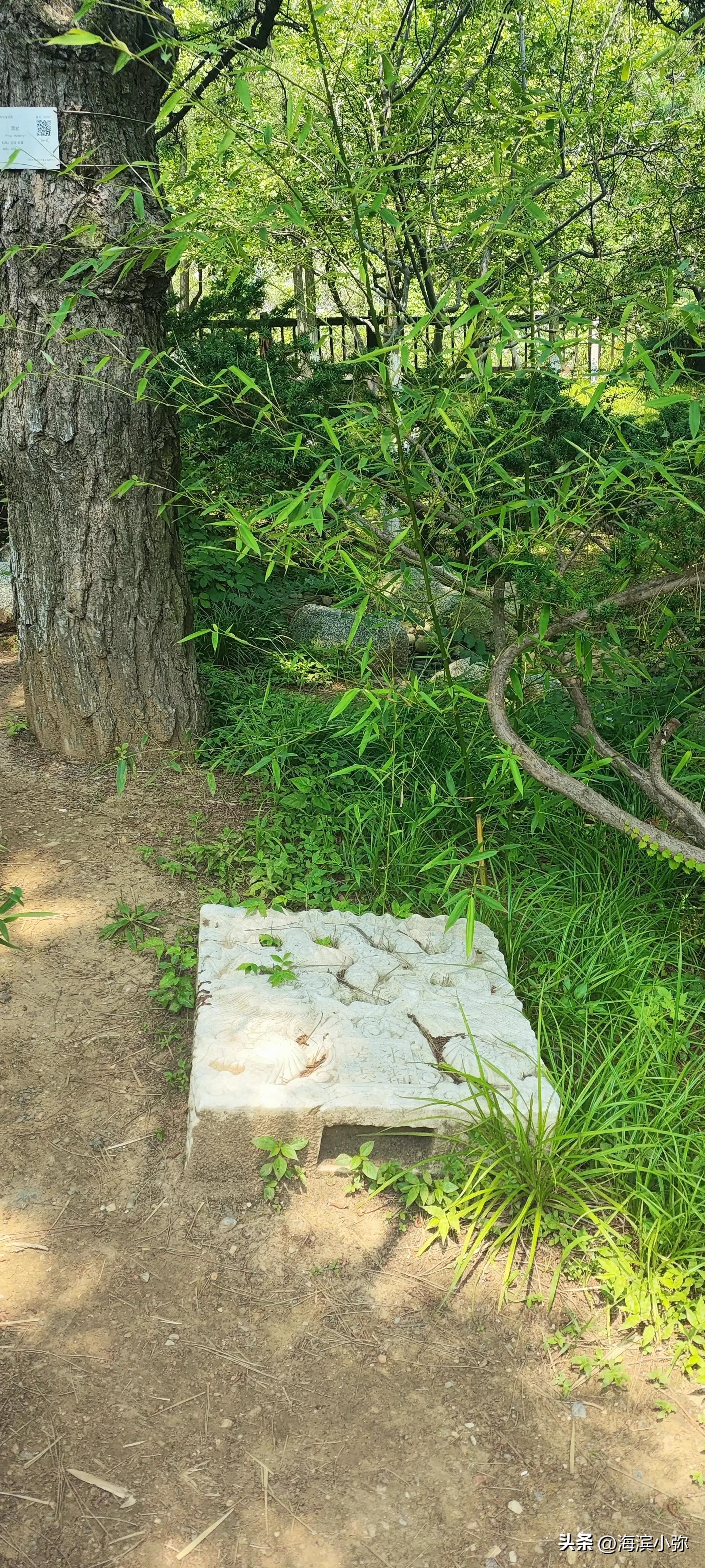 亲身徒步探访东海公园滨海路全纪录（二）