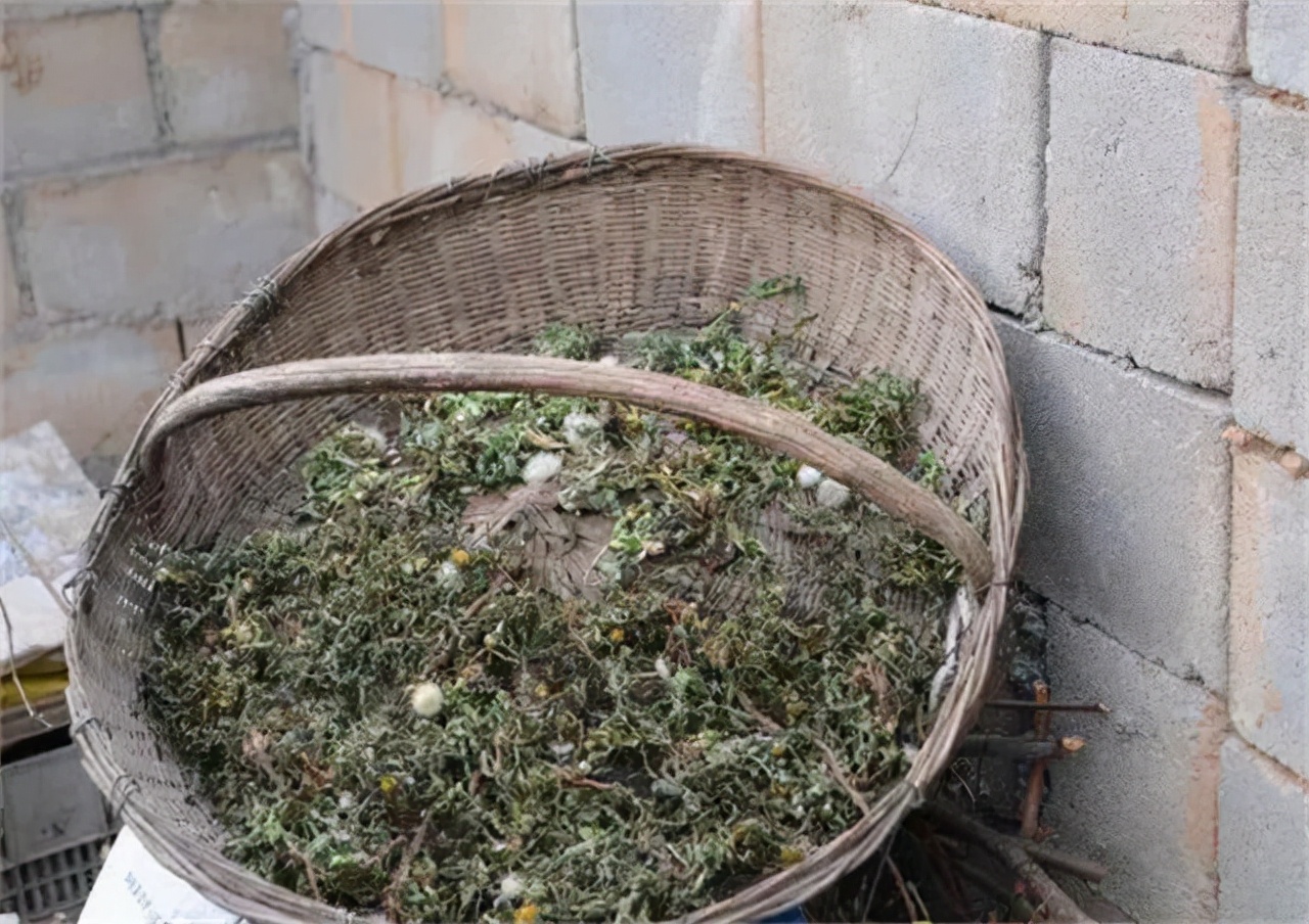 00后小伙靠捡废品养活一家4口,一男子捡垃圾养瘫痪妻子