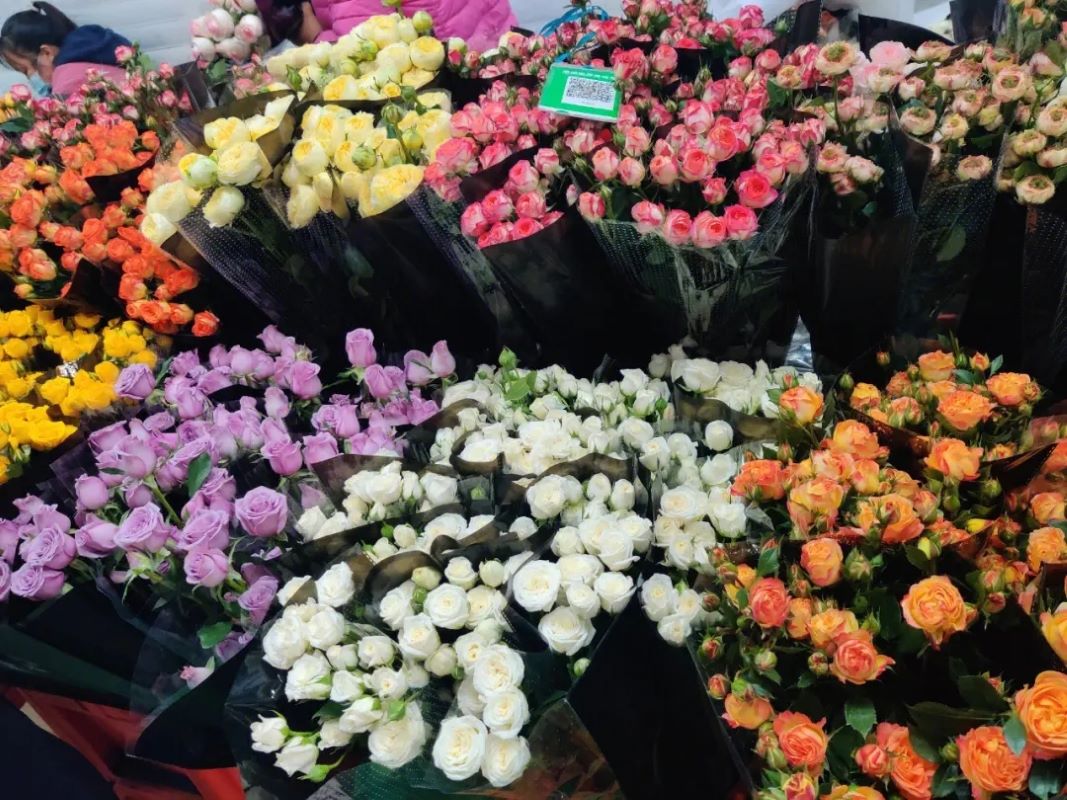 昆明到贵州5日游路线攻略,昆明大理5日游最佳方案