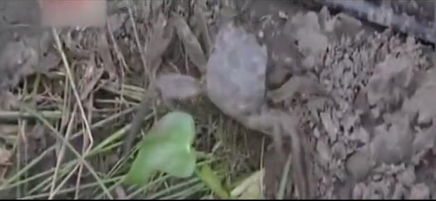 43岁男人负债2000万,内蒙古男子欠债5000万