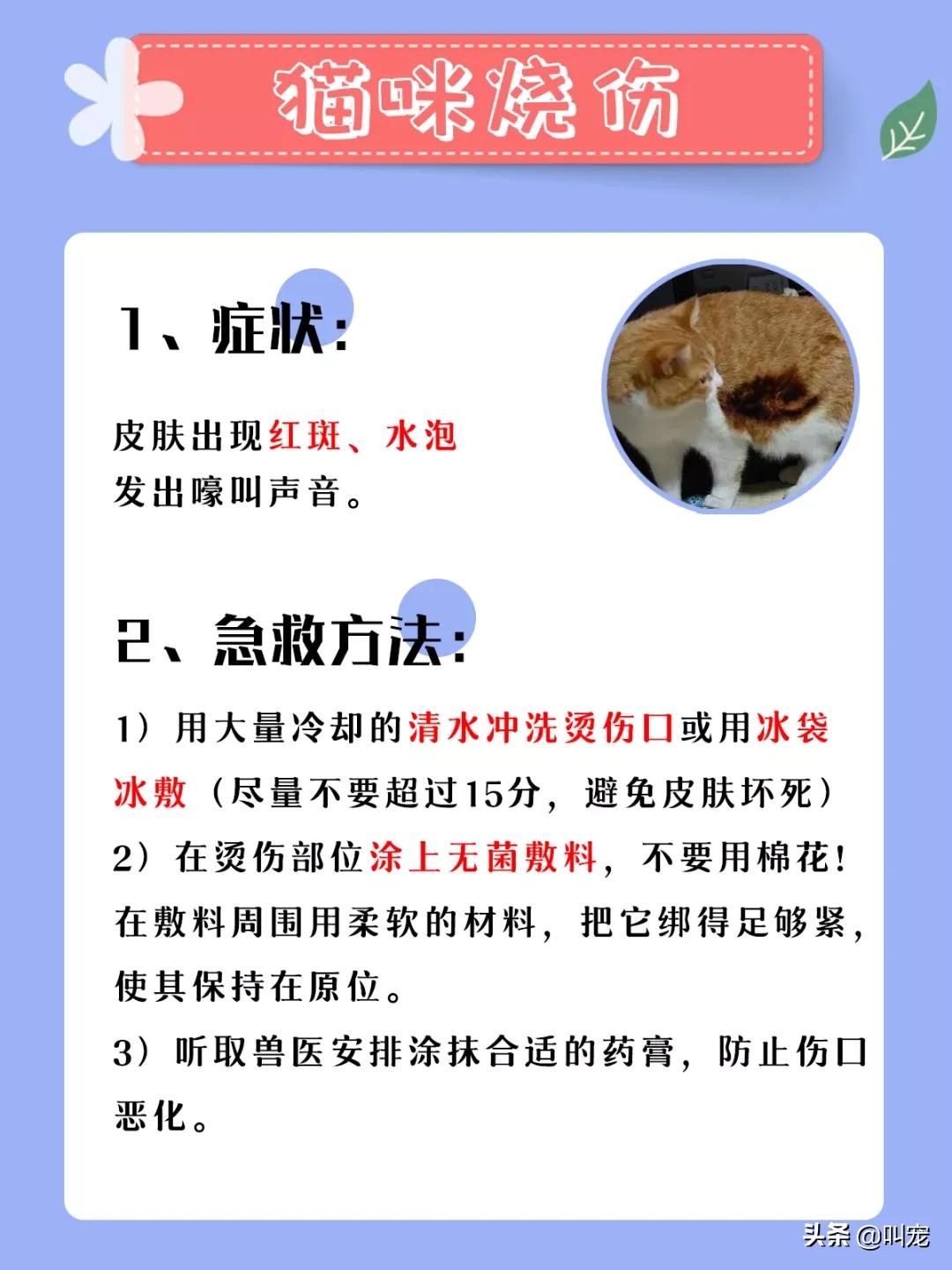 烫伤猫咪流泪,猫咪脚掌烫伤