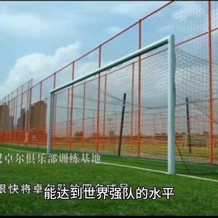 早期足坛反腐风暴,足球反腐纪录片阵型