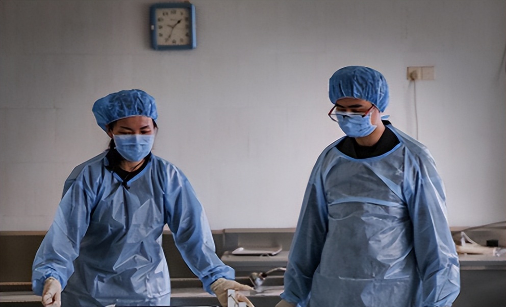 2014年,桃木枝戳穿*体下**?河北女子死状诡异,求爱日记本藏杀机