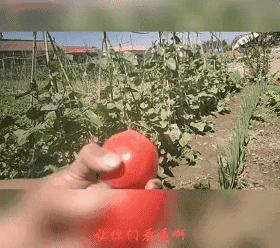 坐高铁遇到旁边老阿姨脱鞋,坐高铁遇到旁边阿姨脱鞋