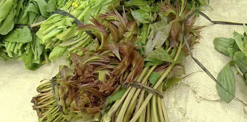 醉美偏坡美食团购,醉美偏坡海鲜烧烤