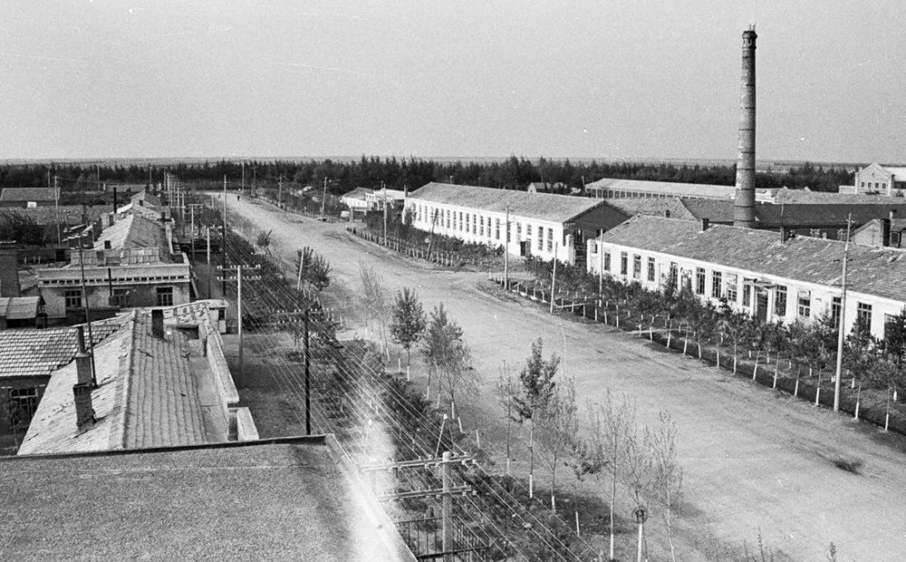 难忘北大荒40年,难忘知青岁月北大荒