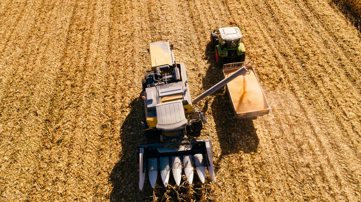 农村人的钱比城里人的好挣,农村人想方设法的去搞钱