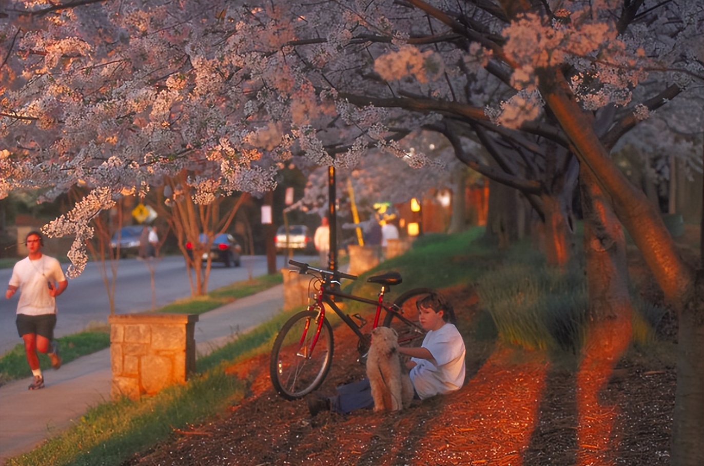 money杂志,money亚特兰大