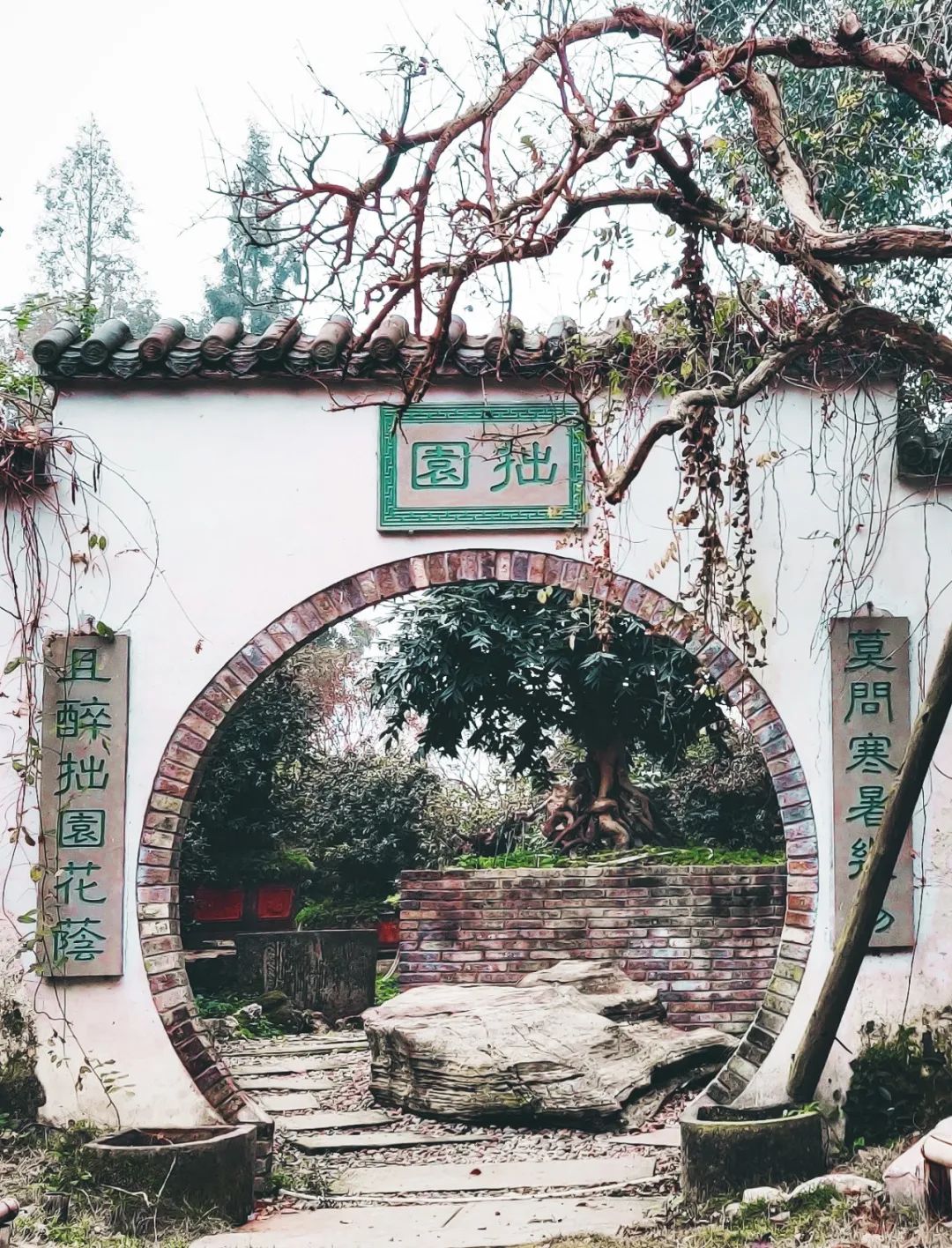 峨眉山旅游有哪些好玩的好吃的,峨眉山吃喝玩旅游攻略