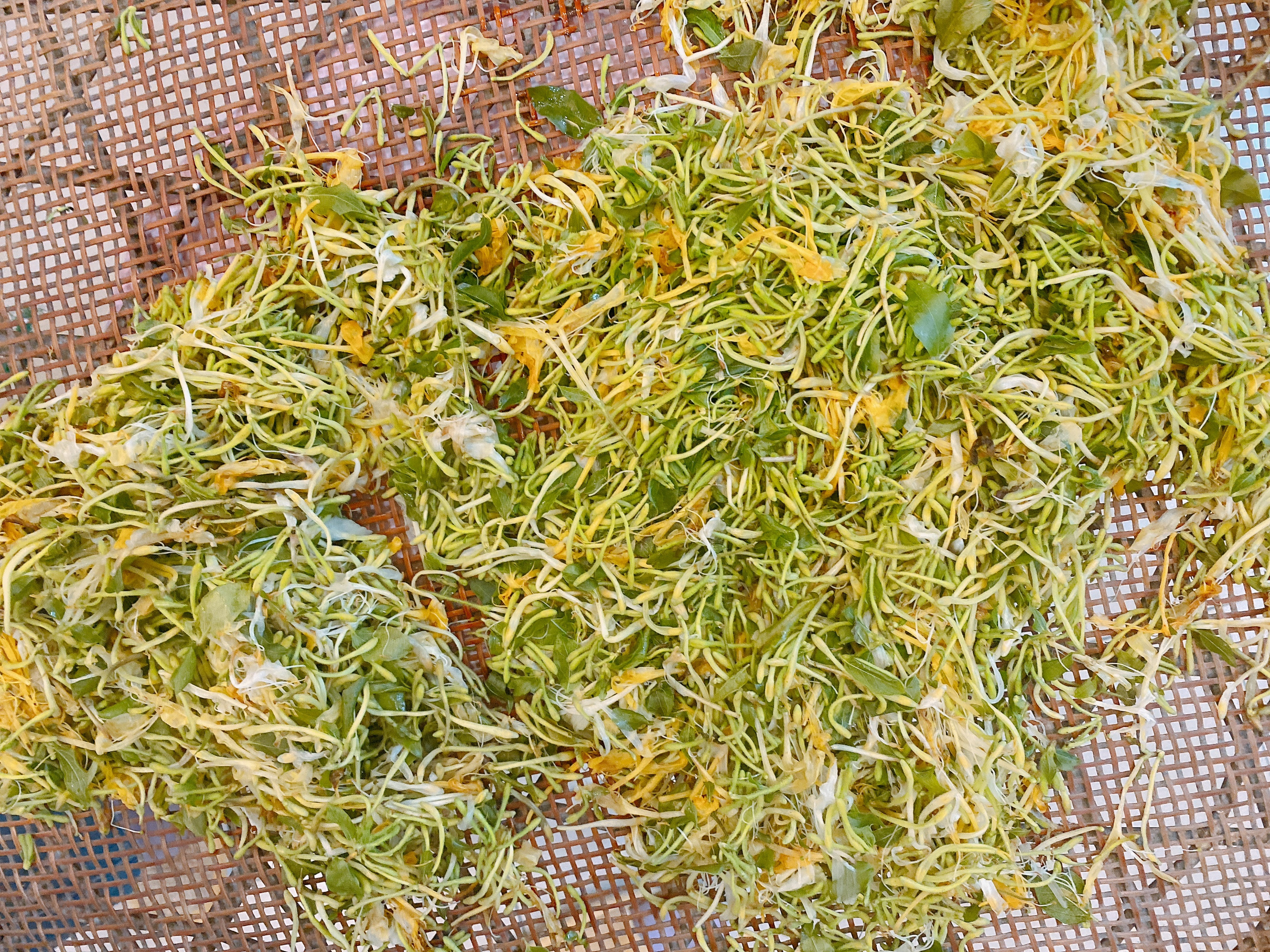 自制金银花茶,金银花茶最好的制作方法