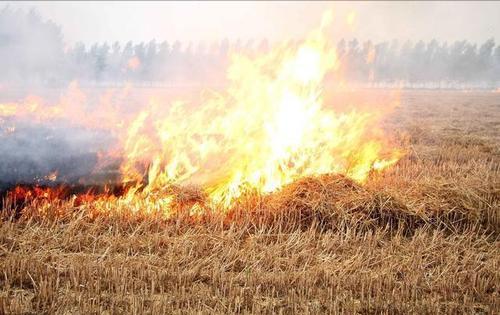 农村墙上的标语对6亿农民的影响,这些年农村哪些标语让你记忆深刻