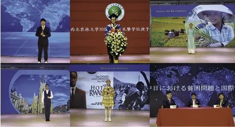 中考普高滑档为什么会没有学籍,中考滑档学生的学籍到哪里了