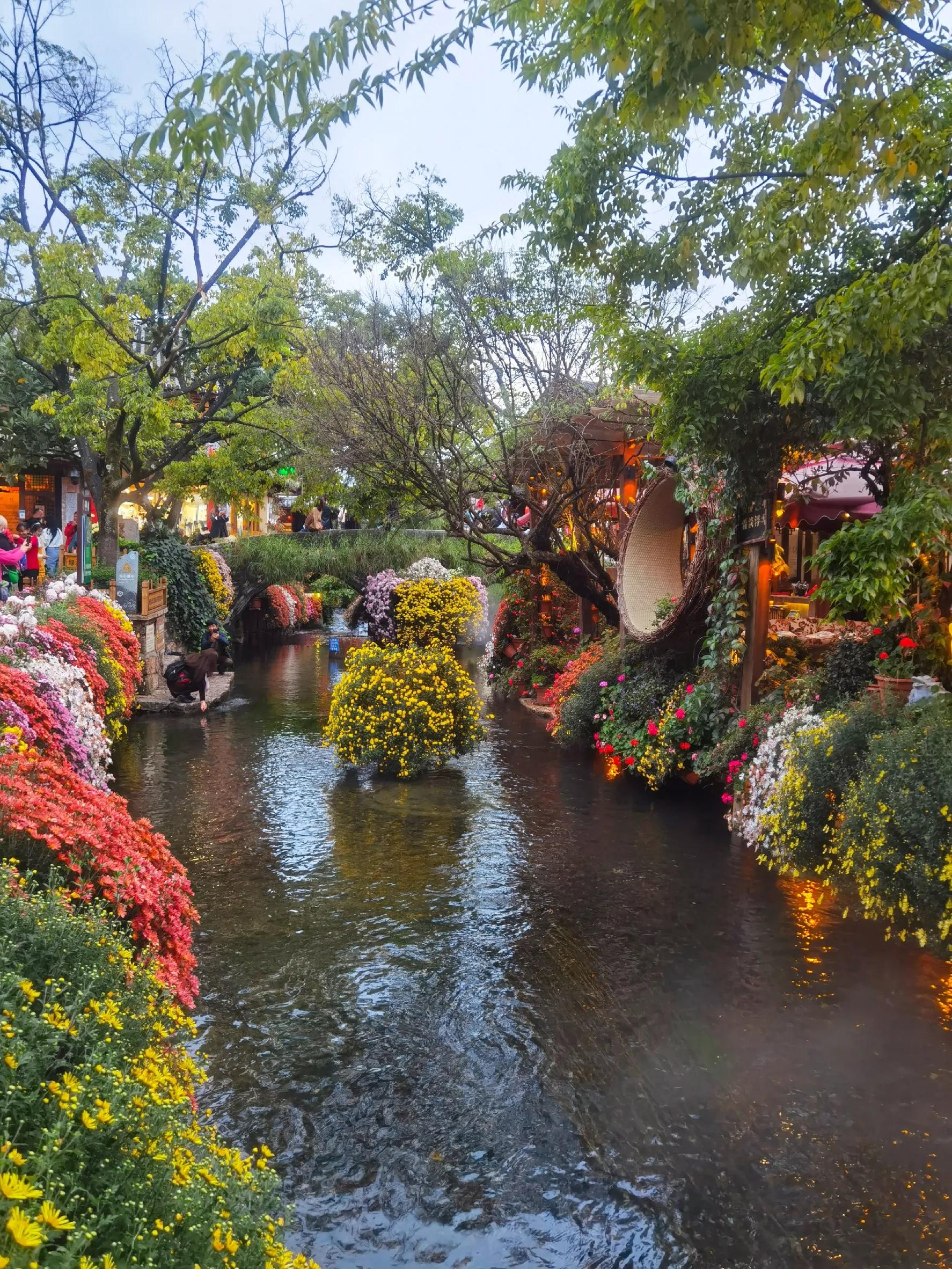 到丽江旅游感受,去过丽江旅游的感受怎么写