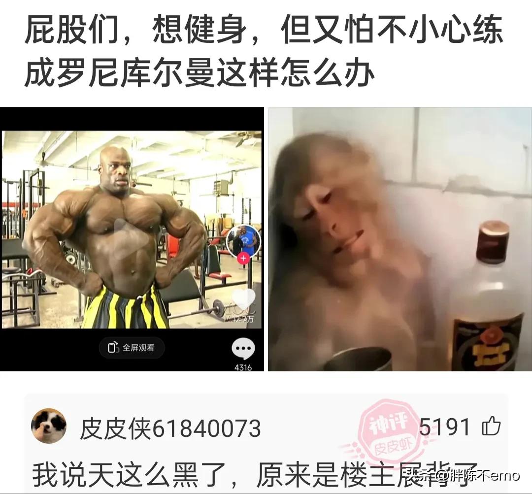 拼多多的神回复,拼多多神回复