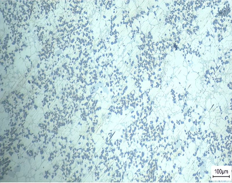 文昌新材徐骏教授：电磁搅拌吸铸技术及其在铝陶复合材料中的应用