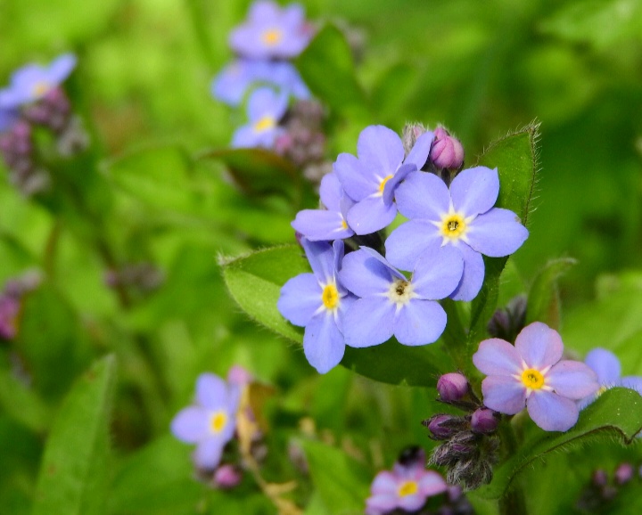 感情中你冷我更冷的三个星座,越冷落你越爱你的星座