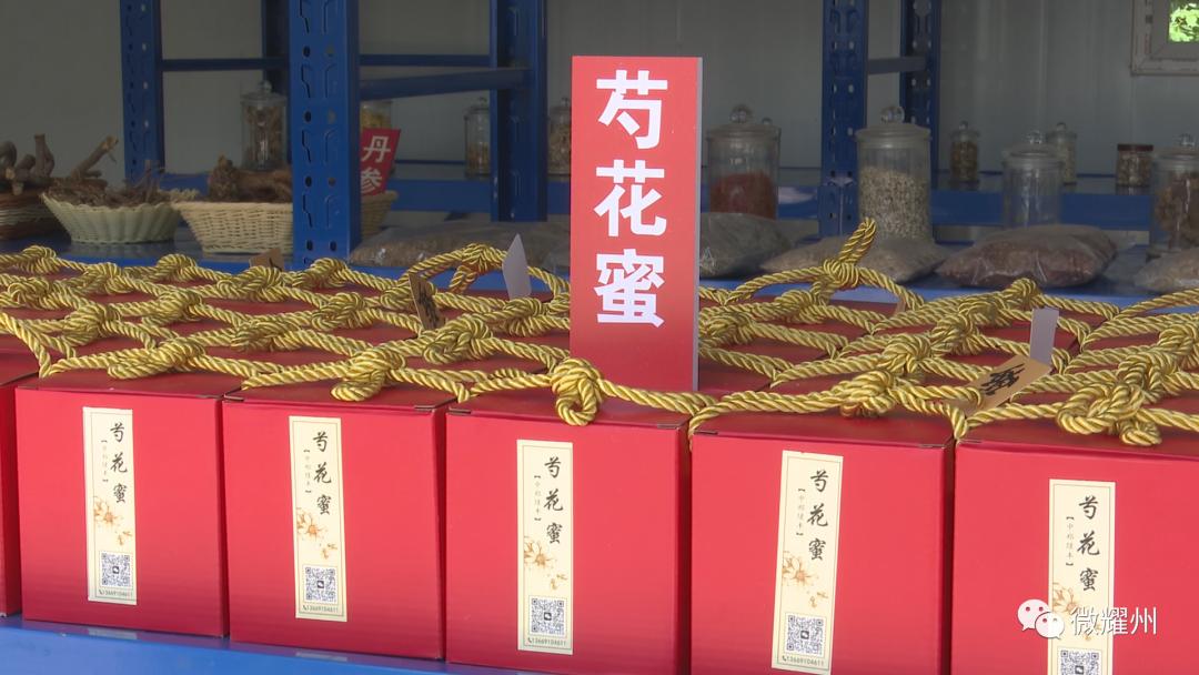 百亩芍药花海吸引人,丰县顺河千亩芍药盛开