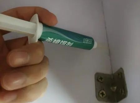 怎样消灭蟑螂只需这招就可以,家庭如何消灭蟑螂和预防蟑螂