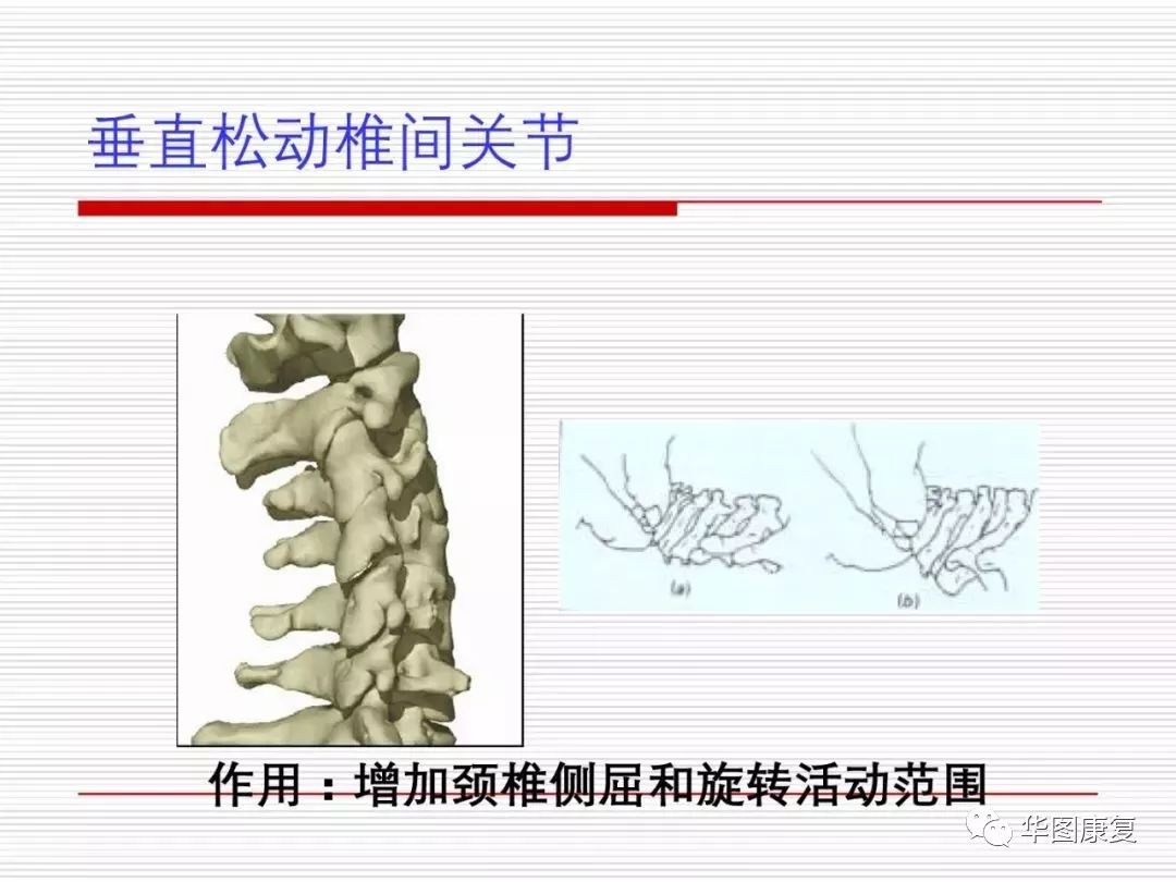 颈复康治疗颈源性头痛吗,颈源性头痛整体解决方案