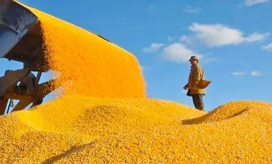 未及时支付欠款的法律后果,未及时足额支付合法吗