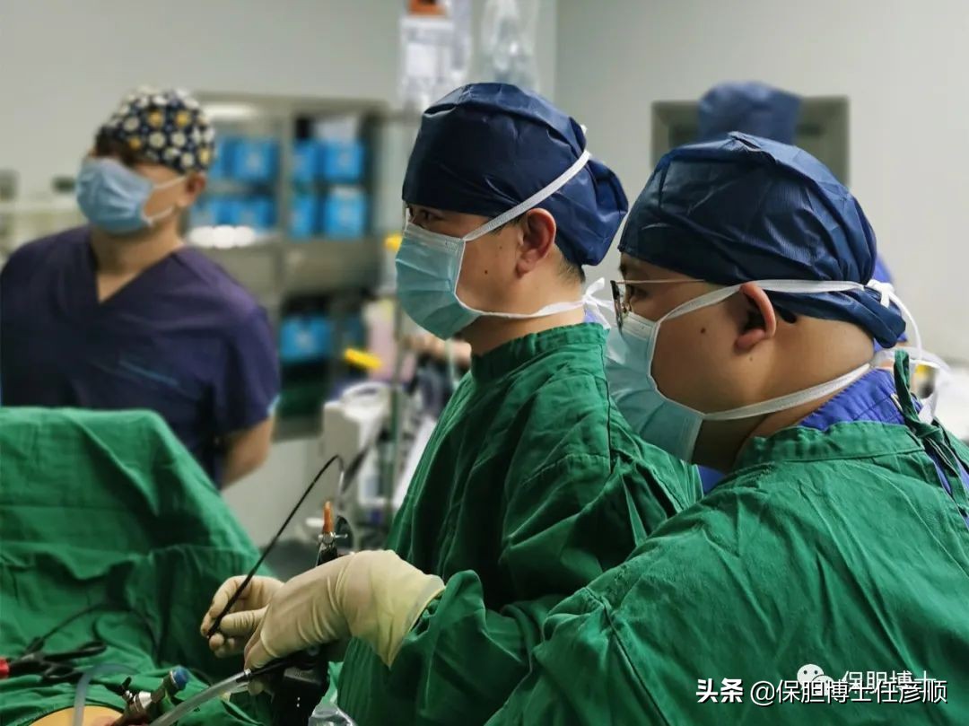 胆囊壁胆固醇结晶能不能喝蛋白粉,什么是胆囊壁胆固醇沉积