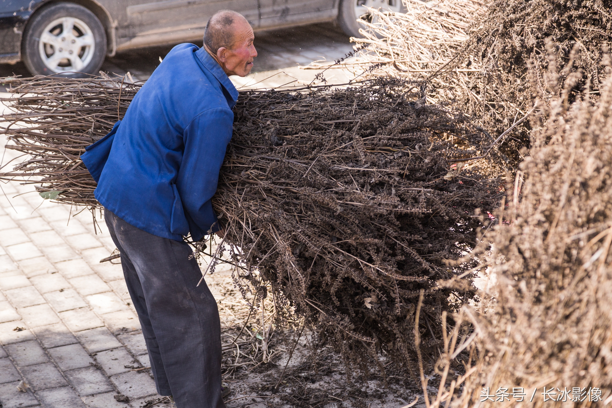 你有洗屁屁的习惯吗,有经常洗屁股的必要吗