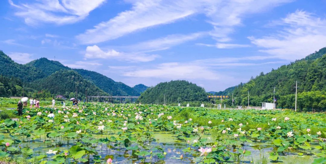 咸宁周边避暑胜地亲子游,湖北咸宁周边避暑