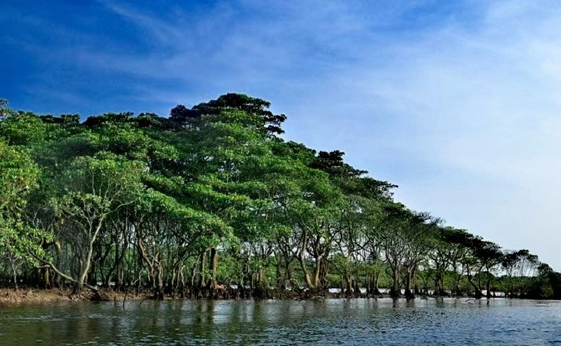 深圳十大必去的景点,深圳十大必玩景点排行榜