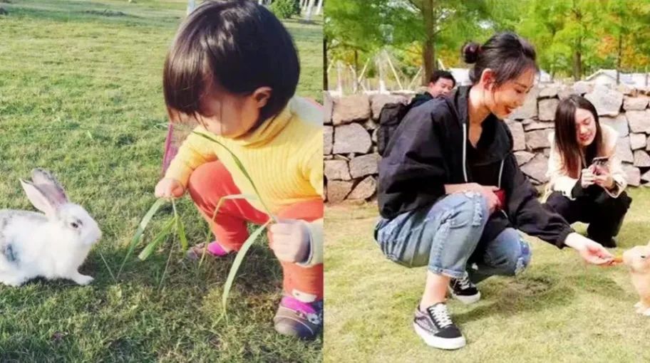 母亲节来打卡|长春电影嘉年华又上新啦！这份攻略请收好→