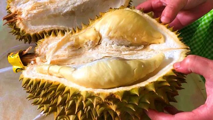 买榴莲就要挑母的学会这四招,买榴莲怎么挑熟一点