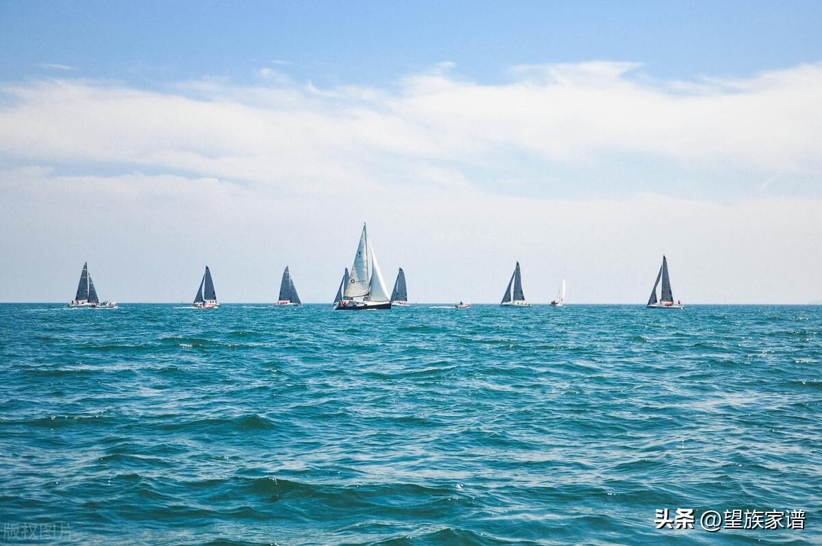 青岛家谱大全,寻根31集免费观看