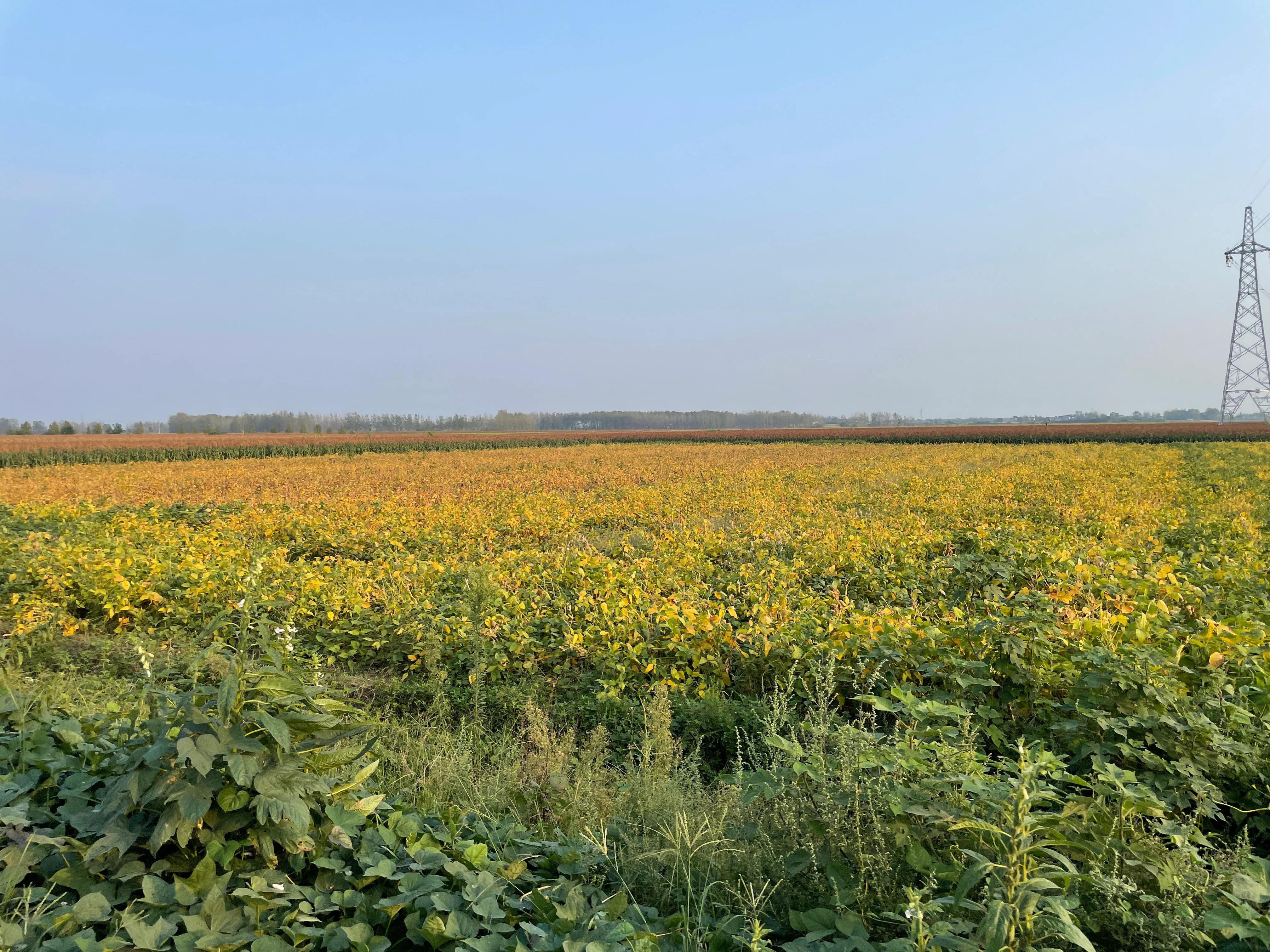 对纪委工作的建议,为什么去纪委工作