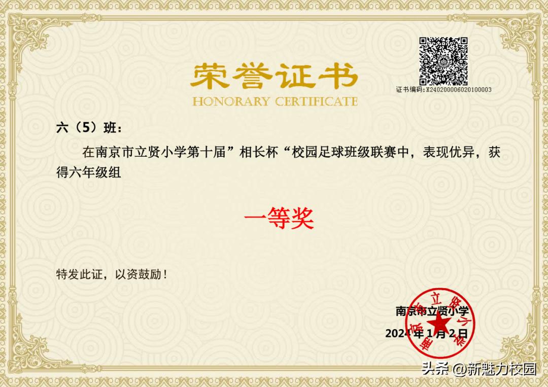 南京市晓庄小学校园足球联赛,区长杯小学校园足球联赛