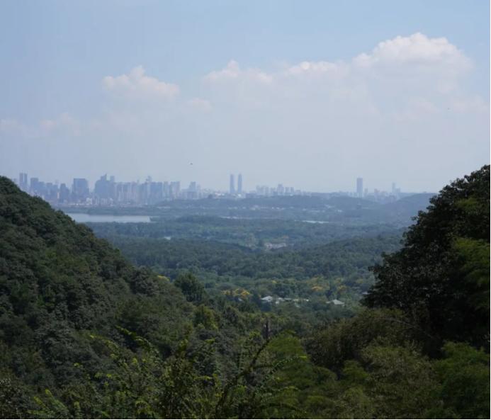 杭州普陀寺简介,杭州寺庙简介之永福寺韬光寺