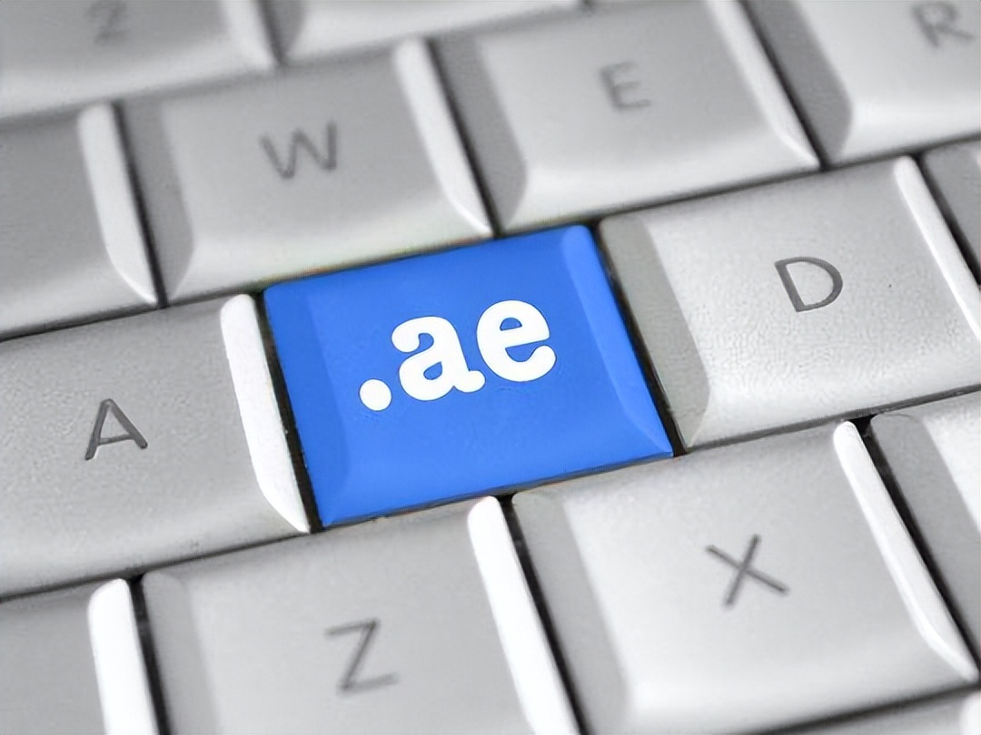 域风网：什么是阿联酋.ae域名,如何注册？