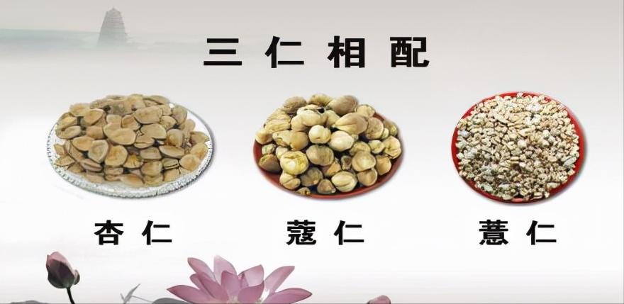 中医辨证论治体系,中医四诊八纲脏腑学说