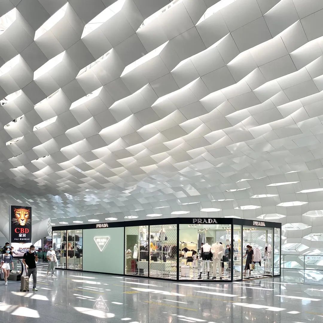 上海市白玉兰荣誉奖,上海白玉兰荣誉奖2020